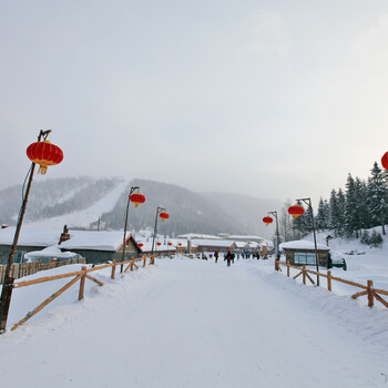 从哈尔滨到雪乡旅游大巴多钱哈尔滨去雪乡2日游跟团划算