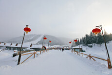 从哈尔滨跟团去雪乡需要几天时间+哈尔滨去雪乡旅游费用图片3