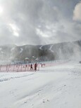 从哈尔滨去雪乡的单程的4.5小时+哈尔滨去雪乡旅游2日游图片2