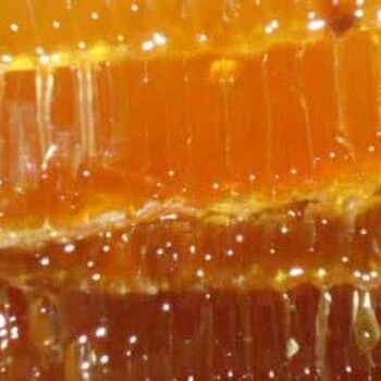 青岛蜂蜜进口代理清关服务公司