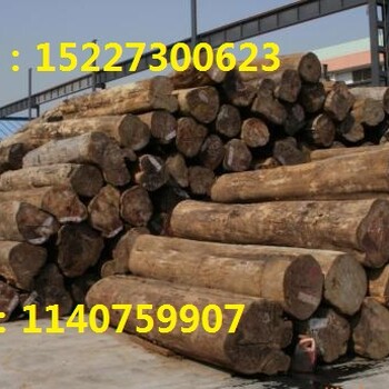 广州澳洲木材进口清关代理公司俄罗斯原木