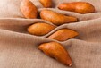 红薯批发龙薯9周口高产高淀粉甘薯价格