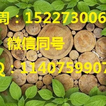 进口木材广州机场清关俄罗斯原木