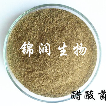 廠家醋酸菌、醋鮮酶