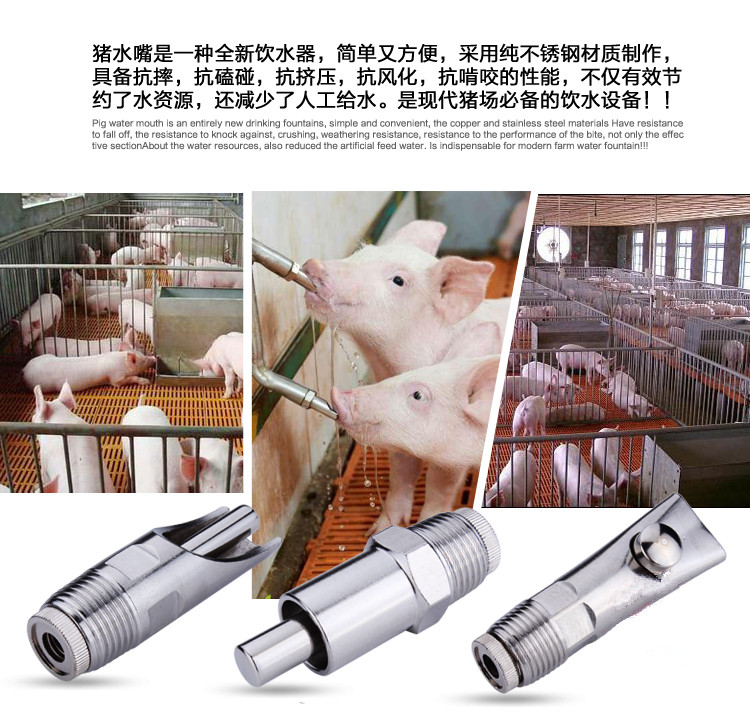 猪用饮水器猪用水嘴怎样安装