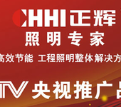 浙江正辉照明ZHS7009LED球泡灯LED球泡灯系列价格优质LED球泡灯