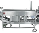 河粉米粉食品机械设备图片