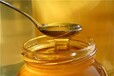 外國出口蜂蜜進口關稅蜂蜜稅率清關公司