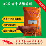 肉牛吃什么精饲料长肉快肉牛快速育肥图片4