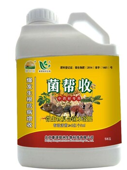 菌帮收微生物复合菌水溶肥-中药材