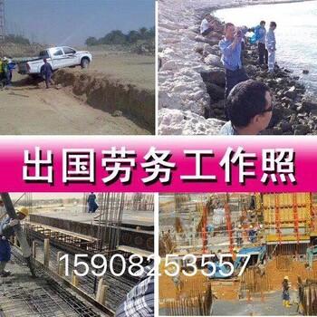 山东出国打工欧美国家招聘建筑木工瓦工等农场工司机等年薪40万