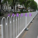 加工生产晋城蓝白市政护栏白色京式护栏交通隔离栏杆
