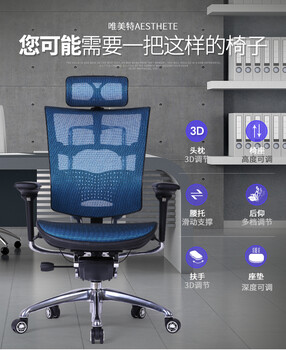 中山市全美佳家具公司供应AESTHETE唯美特VMT-A6工学椅电脑椅
