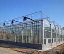 陽光溫室玻璃溫室生態餐廳