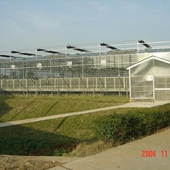 温室大棚建设加快了现代设施农业绿色发展
