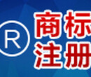 国毅知识产权告诉你：找知识产权代理机构注册商标有哪些优势？图片