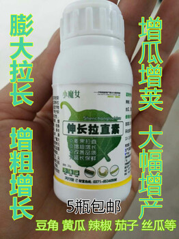 小魔女黃瓜辣椒新款拉長(zhǎng)素伸長(zhǎng)拉直素茄子嫩直長(zhǎng)茄子黑又亮膨大葉面肥
