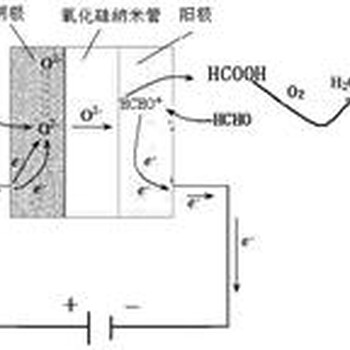 人为什么需要负氧离子？