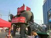 超震撼的机械大象展览低价巡展山东机械大象价格
