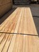 台州工程木方木板价格表