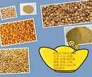 旺川求购：玉米、大豆、高粱、棉粕图片