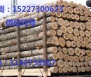 广州机场进口木材清关代理公司图片