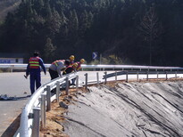 厂家供应高速公路护栏，乡村道路护栏，环保美观，安装方便，坚固防撞图片3