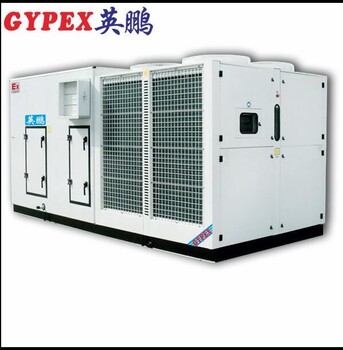 電廠屋頂式防爆空調(diào)機(jī)組