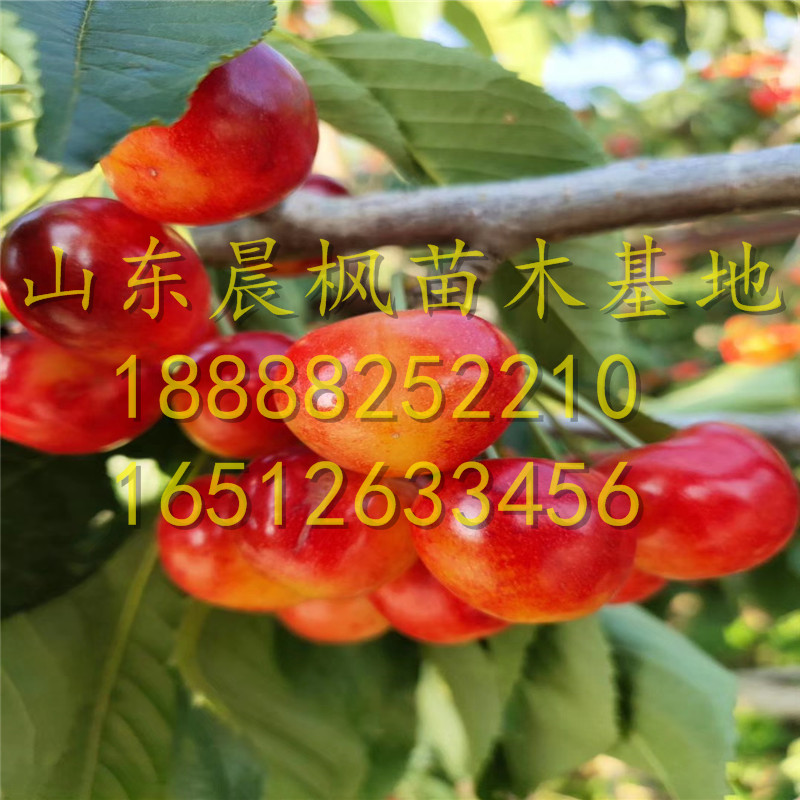 1568913100049733400-0.jpg