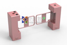 中捷智安立式摆闸图片0