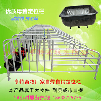 天津红桥母猪定位栏猪用单体栏镀锌管猪围栏