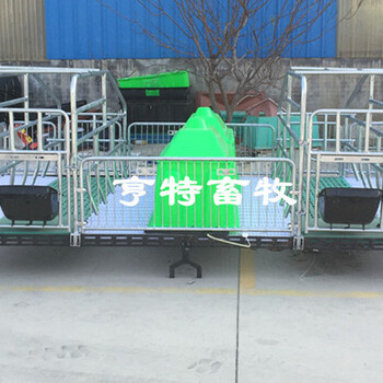 广西贵港母猪双体产床销售高配置成套母猪设备厂家