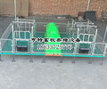 陕西汉中母猪连体产床厂家咨询养猪设备