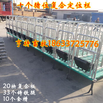 重庆合川复合定位栏母猪设备可关10头猪设计厂家定位栏哪家好