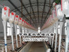 江西宜春猪场自动化料线安装自动化料线厂家