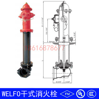 干式消火栓FM/UL认证消火栓WELF0干式消火栓室外消火栓图片2