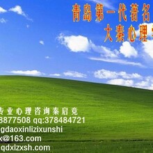 青岛青少年儿童心理咨询秦启竞