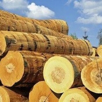 天津港木材进口清关代理俄罗斯原木