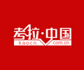 考拉网中国新闻平台kaocn平台新上线简称“考拉中国”