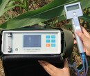 FS-3080D玉米光合作用测量仪