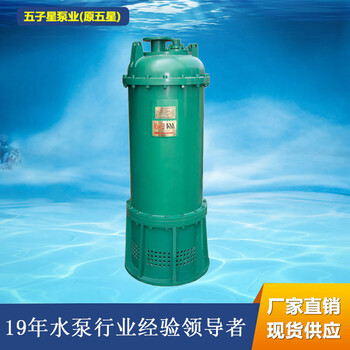 厂家五子星水泵厂BQS(W)防爆排沙(排污)泵4KW价格矿用设备