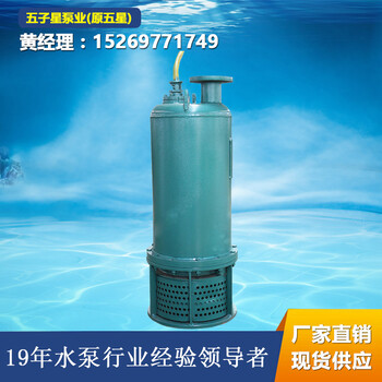 水泵厂家BQS70-400/5-185防爆排沙排污电泵185KW离心泵现货