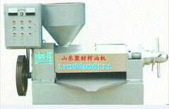 安徽安庆大型机电一体螺旋油菜籽榨油机多少钱一台图片3
