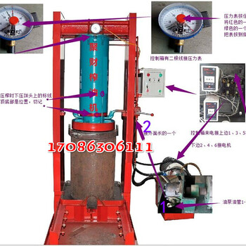 云南思茅厂家全自动压榨机商用定制茶籽油加工机械