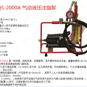 气动液压注脂泵价格QS-2000A价格_厂家