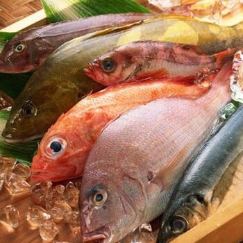 菲律宾金线鱼进口代理报关公司