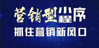 2017小程序未来的发展趋势和优势具有强大营销功能微商城分销源码出售图片0