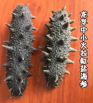煙臺(tái)龍孚新海參技術(shù)加工培訓(xùn)