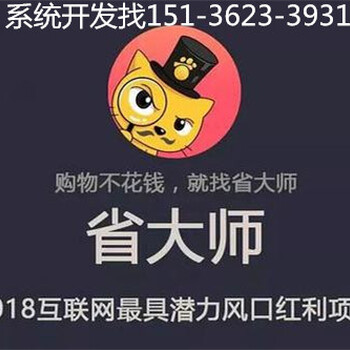 省大师模式系统软件APP开发