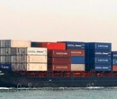 东际物流是广州海运新加坡公司散货门到门海运